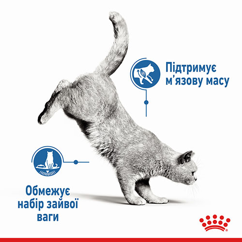Royal Canin Light Weight Care в желе для котів