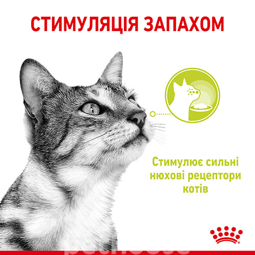 Royal Canin Sensory Smell в желе для котів, фото 2