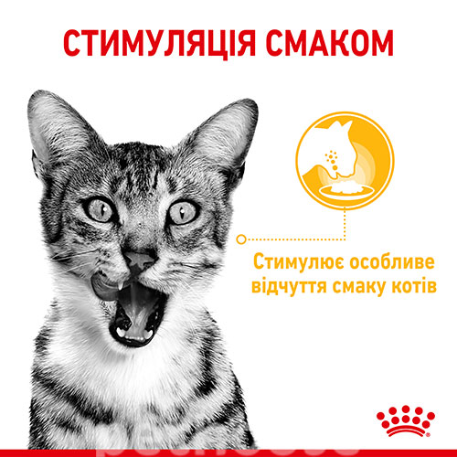 Royal Canin Sensory Taste в желе для кошек, фото 2