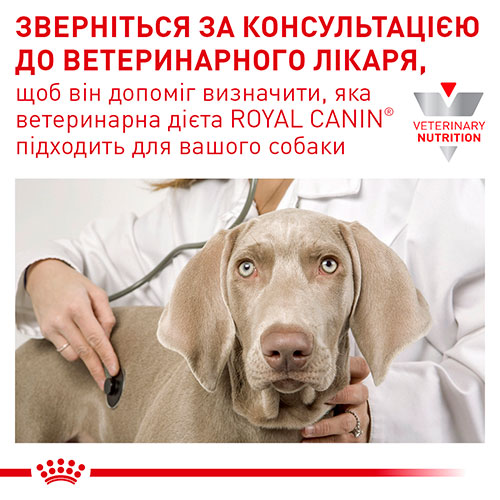 Royal Canin Hypoallergenic Puppy, фото 5