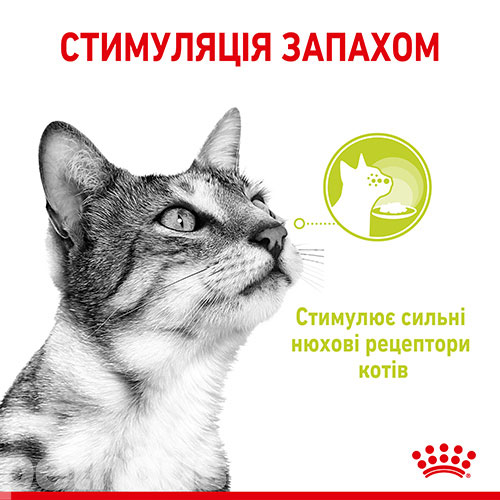 Royal Canin Multi-Pac Sensory в соусі для котів, фото 4
