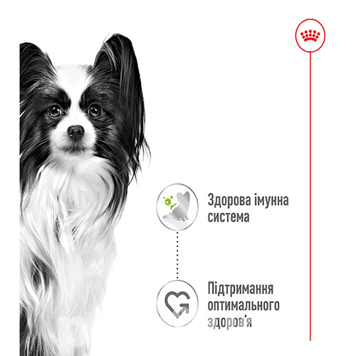 Royal Canin Xsmall Adult в соусі для собак