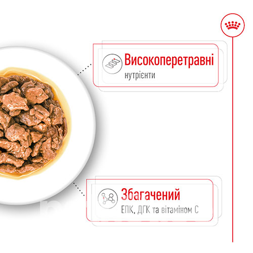 Royal Canin Xsmall Adult в соусі для собак