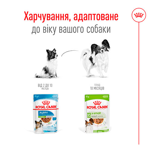 Royal Canin Xsmall Adult в соусі для собак