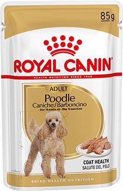 Royal Canin Poodle Adult в паштеті для собак