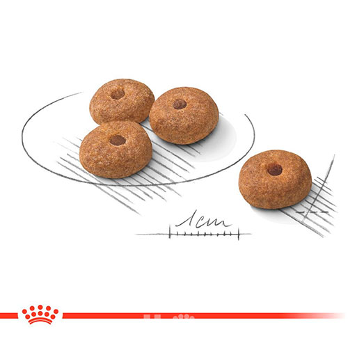Royal Canin Mini Sterilised