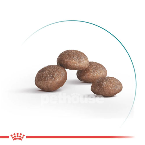 Royal Canin Ageing 11+ Royal Canin Ageing 11+