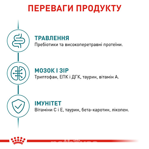 Royal Canin Ageing 11+ Royal Canin Ageing 11+