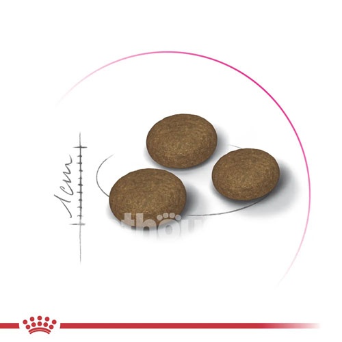 Royal Canin Exigent Fussy Royal Canin Exigent Fussy