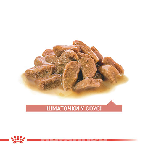 Royal Canin Ageing 11+ в соусе для кошек Royal Canin Ageing 11+ в соусе для кошек