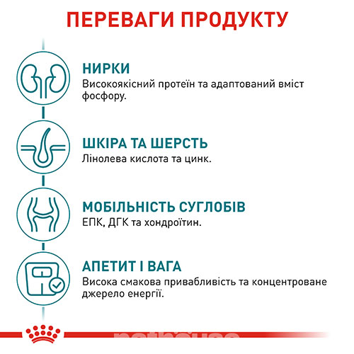 Royal Canin Ageing 11+ в соусе для кошек Royal Canin Ageing 11+ в соусе для кошек