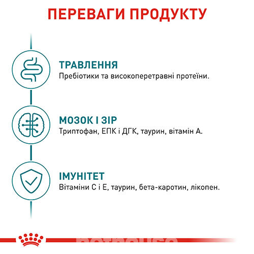 Royal Canin Ageing Sterilised 11+ Royal Canin Ageing Sterilised 11+