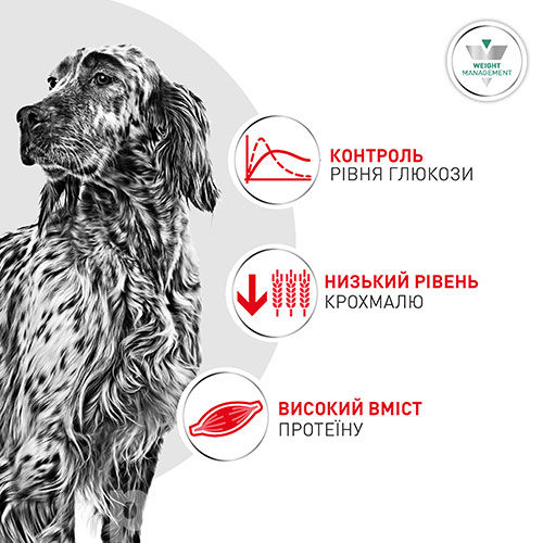 Royal Canin Glycobalance Dog