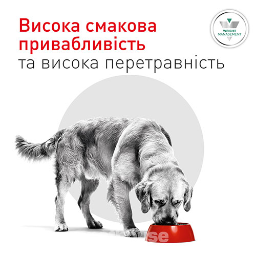 Royal Canin Glycobalance Dog