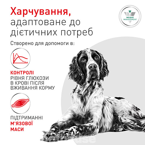 Royal Canin Glycobalance Special LC Dog Cans