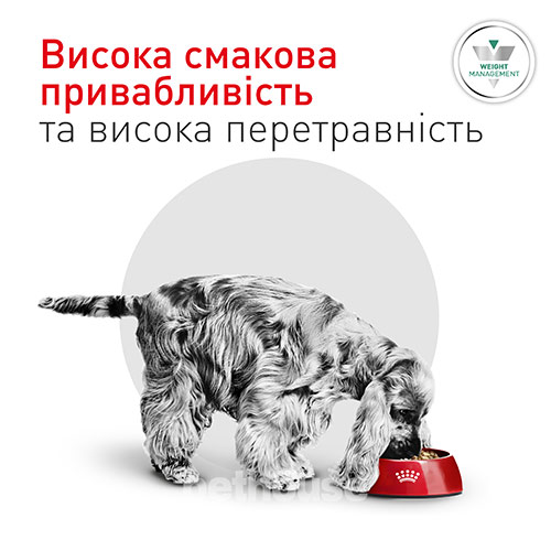 Royal Canin Glycobalance Small Dog