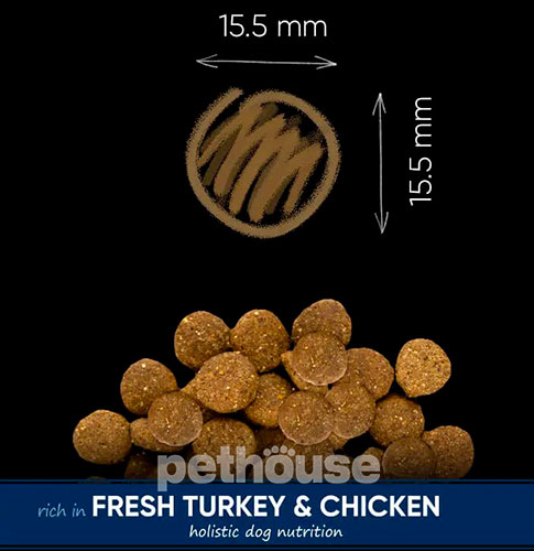 Savory Junior Large Breed Fresh Turkey & Chicken
