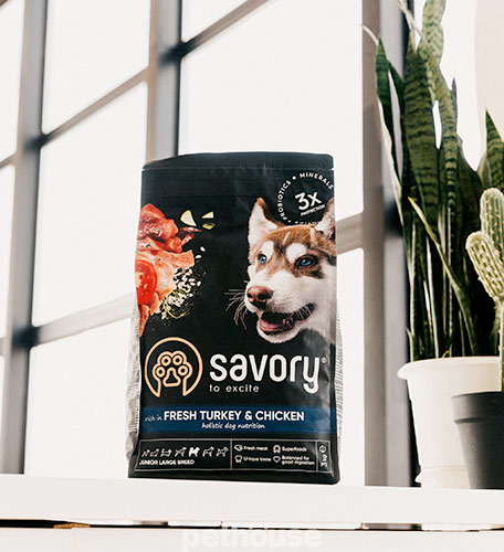 Savory Junior Large Breed Fresh Turkey & Chicken