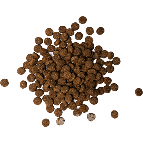 Savory Junior Large Breed Fresh Turkey & Chicken