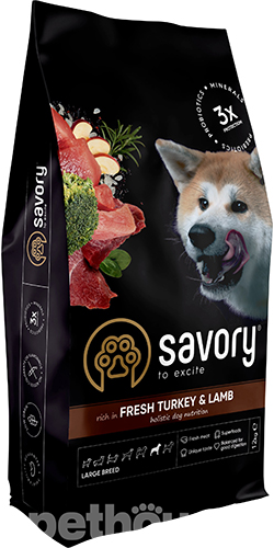 Savory Adult Large Breed Fresh Turkey & Lamb