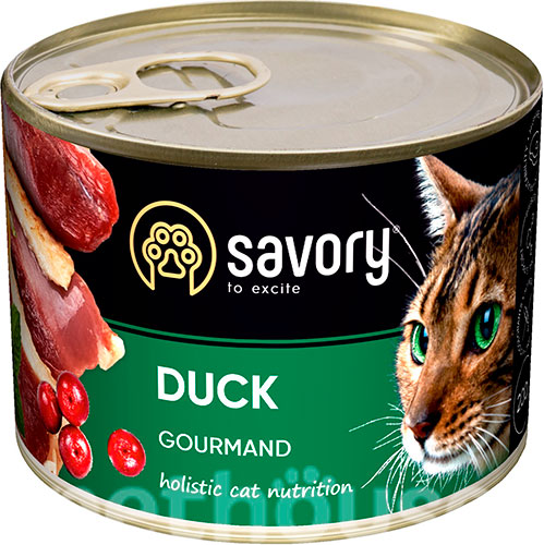 Savory Cat Adult Duck