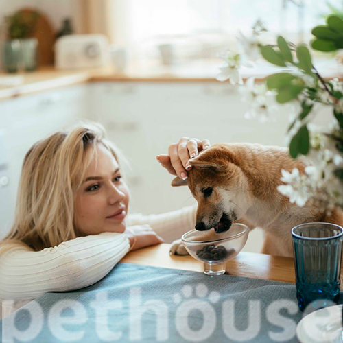 Savory Dog Immunity Support Soft Snack с уткой и шиповником для собак Savory Dog Immunity Support Soft Snack с уткой и шиповником для собак