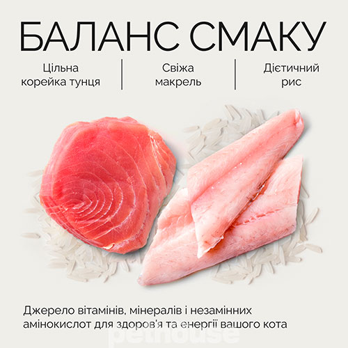 Savory Adult Cat Tuna Fillets rich in Mackerel in Jelly