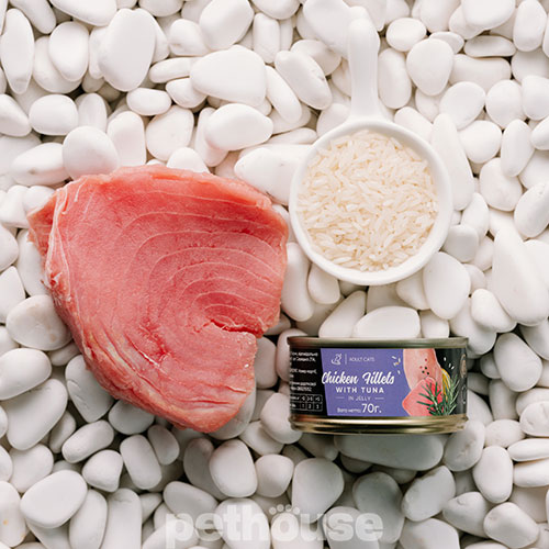 Savory Adult Cat Chicken Fillets rich in Tuna in Jelly