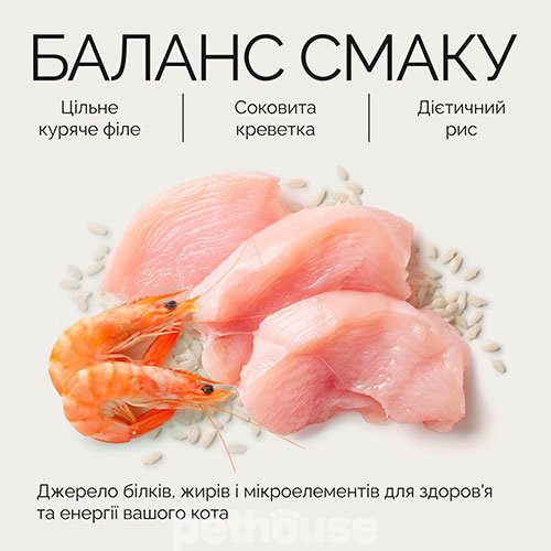 Savory Adult Cat Chicken Fillets rich in Shrimps in Jelly