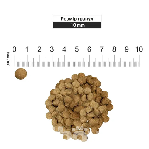 Schesir Dog Small Adult Lamb