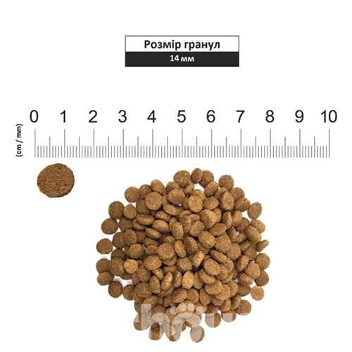 Schesir Dog Medium Adult Fish Schesir Dog Medium Adult Fish