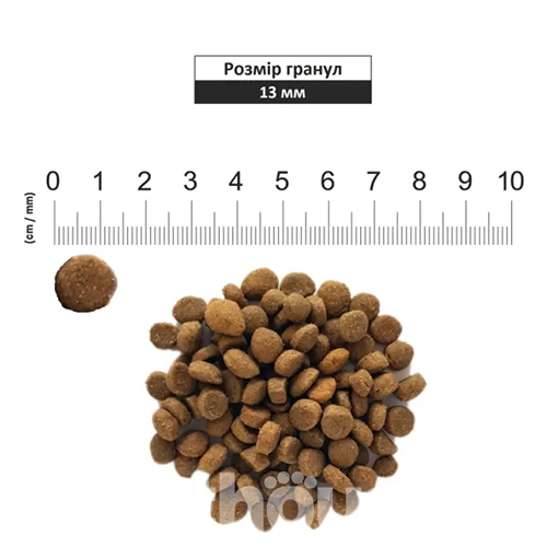 Schesir Dog Medium Adult Chicken