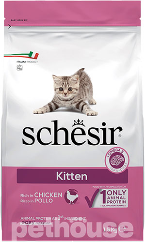 Schesir Cat Kitten