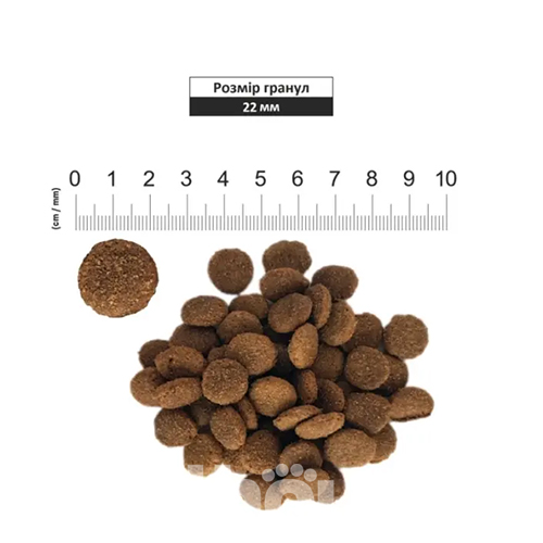 Schesir Dog Large Adult Fish