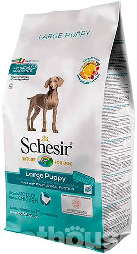 Schesir Dog Large Puppy