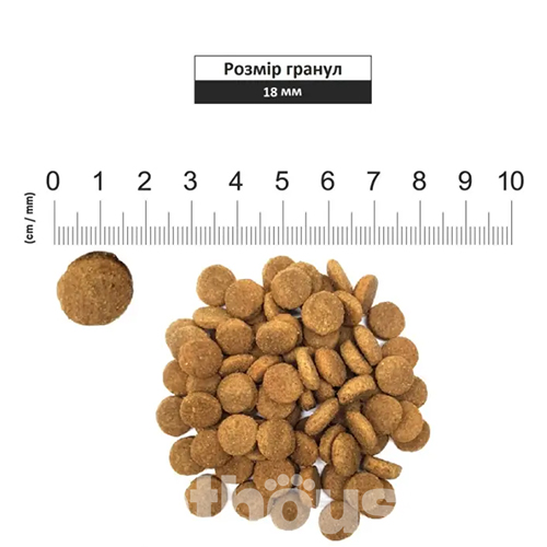 Schesir Dog Large Adult Chicken