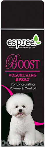 Show Style Boost Volumizing Spray - спрей для додання об'єму