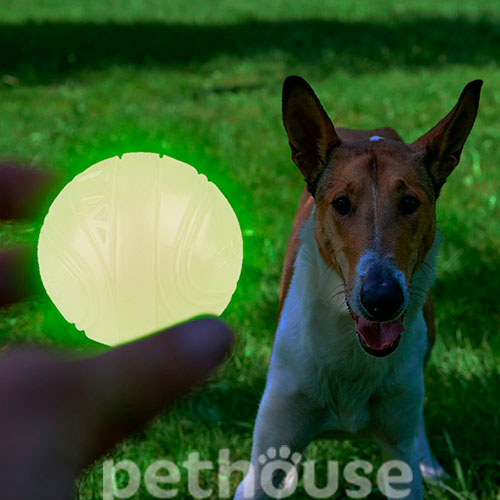 Skipdawg Neon Glow Ball Светонакопительный мяч для собак, 7 см, фото 3