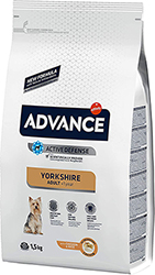 Advance Yorkshire Terrier