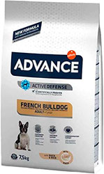 Advance French Bulldog