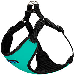Barksi Sport Шлея для собак дрібних і середніх порід, бірюзова