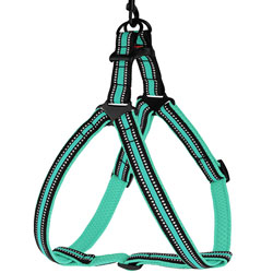 Barksi Mesh Шлея "Стандарт" для собак, ментоловая Barksi Mesh Шлея "Стандарт" для собак, ментоловая