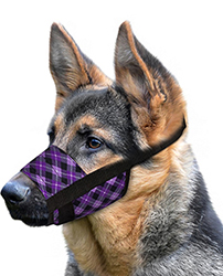 Bronzedog Намордник нейлоновий для собак, фіолетовий