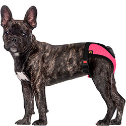 Bronzedog Mesh Труси гігієнічні для собак, рожеві