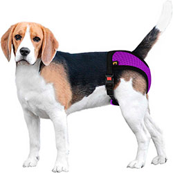 Bronzedog Mesh Трусы гигиенические для собак, фиолетовые