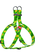 Collar WAUDOG Шлея с принтом “Авокадо” для собак, нейлон