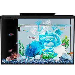 Eraark Intelligent Aquarium PRO Акваріумний набір