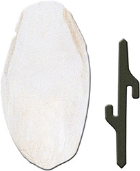 Ferplast Cuttlebone Small Кістка каракатиці для птахів