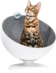 FurryTail Лежак-полусфера Boss Elevated Cat Bed для кошек