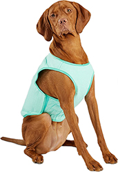 GF Pet Elasto-Fit Ice Vest Охолоджувальний жилет для собак